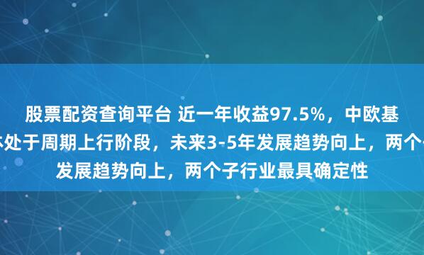 股票配资查询平台 近一年收益97.5%，中欧基金宋巍巍：半导体处于周期上行阶段，未来3-5年发展趋势向上，两个子行业最具确定性