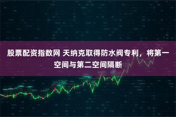 股票配资指数网 天纳克取得防水阀专利，将第一空间与第二空间隔断